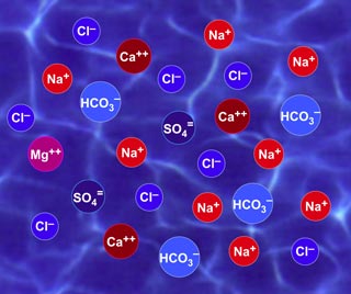 Difference Between Ions Cations And Anions