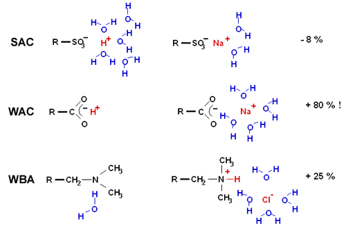 Ion hydration