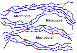 Macroporous structure