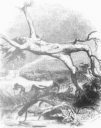 Illustration de GJ. J. Grandville