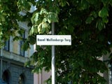 Place Wallenberg